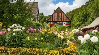 Sommerzeit im Sauerland