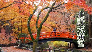 KYOTO【Autumn colors】Kitano Tenmangu Shrine 2019 北野天満宮 #4K