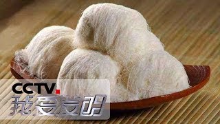 《我爱发明》 美味龙须酥 20190925 | CCTV科教