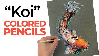 Koi Fish Drawing with Colored Pencils