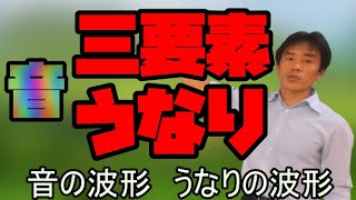 【波　音の性質】音源の振動　音の３要素　うなり