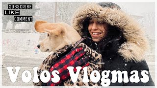 Volos Vlogmas❄️|Πρώτο χιόνι και πρώτη βόλτα για το κουτάβι μας🐶|