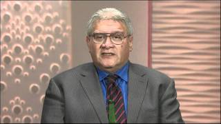 can the Mana and Maori Party work together to combat Don Brash Marae Investigates 17 July 2011 TVNZ