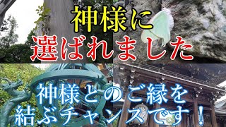 ※超強力⚠️日本最強の八方除で知られる当神社は日本で最も昇殿祈祷者が多い神社でもあり、可愛らしい蝶の生息地でもある【神奈川県高座郡寒川町 寒川神社】【祭神：寒川比古命 寒川比女命】