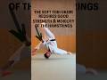 Aikido Ukemi Practice - How To Improve Hamstring Mobility & Strength(Soft Breakfall) #aikido #ukemi