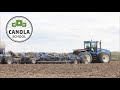 Canola School: Mitigating flea beetle damage through uniform seeding