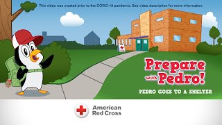 Prepare with Pedro! Pedro Goes to a Shelter