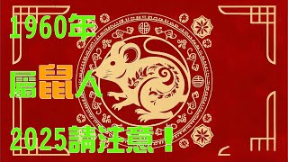 1960年屬鼠人，進入2025乙巳蛇年要註意了！生肖鼠千萬不要錯過！#生肖命裡 #生肖運程2025 #十二生肖運程 #十二属相 #十二生肖 #財運 #健康 #命理 #命運好好玩 #熱門 #運勢