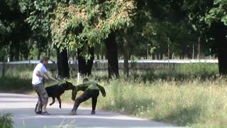 Хулиган напал на меня с собакой. Как ротвейлер охраняет хозяина.