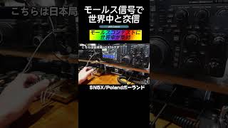 モールス信号で世界と交信・コンテスト編⑥ポーランド　#モールス #アマチュア無線 #JIDX #shorts