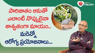 Parijat Leaves | పారిజాతం ఆకుతో ఎలాంటి నొప్పులైనా మాయం.. Dr. Ch Madhusudana Sarma | Tone Health