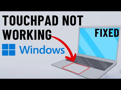 [FIXED] Touchpad Not Working on Windows 10 or 11