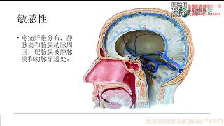 徐高磊神经反射疗法06 第六讲 影响硬脑膜的因素