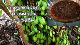 ഇരുമ്പൻ പുളി (ഓർകാപുളി )കൊണ്ടൊരു അടിപൊളി Dish @A2S2world