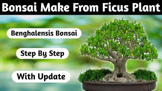 Mini Banyan Bonsai Making At Home