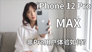 iPhone 12 Pro Max｜非专业用户体验如何？普通人拍的视频效果到底怎么样