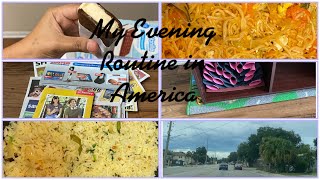 #Telugu Housewife Afternoon to Evening Routine in America/#Telugu Vlogs From USA/#USA Telugu.
