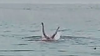 Impactante vídeo. Hombre ruso es atacado y devorado por un tiburón tigre en el Mar Rojo, Egipto. 🦈