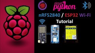 CircuitPython nRF52840 ESP32 WiFi Tutorial