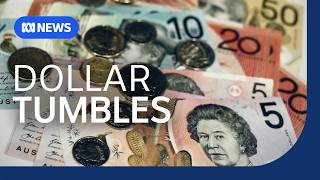 How low can the Australian dollar go? | The Business | ABC News