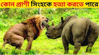 ৭টি প্রাণী যারা! সিংহকে সহজে হত্যা  করতে পারে | 7 animals that! Can defeat a lion | how wildlife