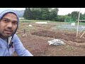 জাপানের কৃষি আমার কৃষি।। japanese agriculture।।japan u0026 technology