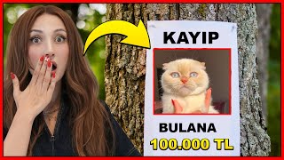 KEDİM MİA KAYBOLDU BULANA 100 BİN TL ÖDÜL 😭 | KÜBRA NİSA DORA