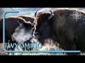 Wild Wyoming: People & the Great Outdoors | myDOCS travel