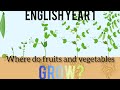 ENGLISH YEAR 1 : UNIT 4 - LUNCHTIME | WHERE DO FRUITS AND VEGETABLES GROW?