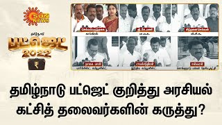 தமிழ்நாடு பட்ஜெட் குறித்து அரசியல் கட்சித் தலைவர்களின் கருத்து | tn budget 2022-23