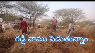 గడ్డి వాము ఎలా పెడతారు చూడండి|| village nature###