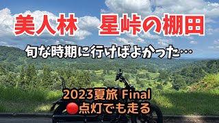 【バイク旅】旬な時期に行くべきだったかも・・・【美人林】【星峠の棚田】