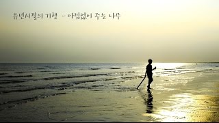 아낌없이 주는 나무 - 유년 시절의 기행 (1995년)