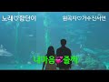 노래♡향단이♡내마음줄께♡원곡자~가수신서연♡출처~가수신서연tv