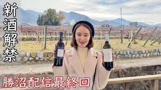 【最終回】ついに新酒が解禁に！視聴者の皆さんにプレゼント企画も？！