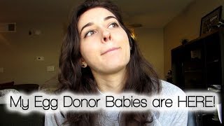 Egg Donor Regrets?! Emotions after the twin babies were born