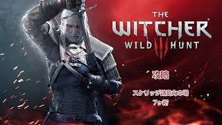 ウィッチャー3（Witcher3） PC版　攻略　力の場 スケリッジ諸島