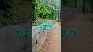 퇴근길 1분 힐링#돌담길#쥬얼리#니가참좋아