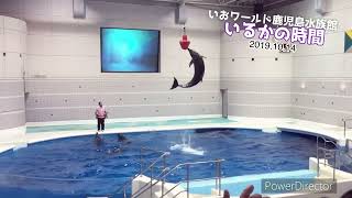 【いるかの時間】いおワールド鹿児島水族館【2019.10.14】