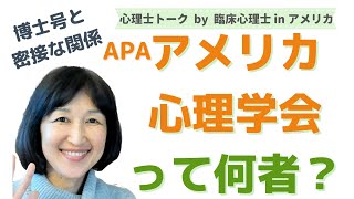 APAアメリカ心理学会って何者？博士号を持つ臨床心理士と密接な関係