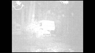 Orbs Recorded in Motion by Infrared Trail Camera