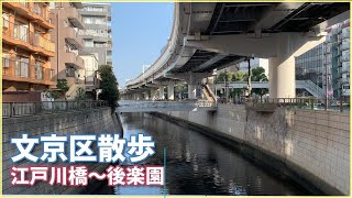 【東京文京区】江戸川橋から後楽園散歩（伝通院、文京シビックセンター、東京ドーム）