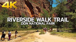 ZION NATIONAL PARK - Riverside Walk Trail, Hiking, Temple of Sinawava, Utah, USA, Travel, 4K UHD