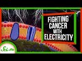 How the Electricity in Our Bodies Could Fight Cancer