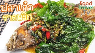 ปลาเก๋าราดพริก ปลาราดพริก ใครทำก็อร่อย  | FoodTravel ทำอาหาร