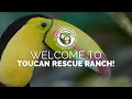 Welcome to Toucan Rescue Ranch!