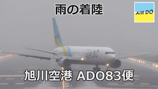 【滑走路】旭川空港 AirDo83便(着陸)【真正面】