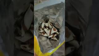 # Bisk Farm Burst Chocolate Flavour # Shorts # Youtubeshorts # Youtube #