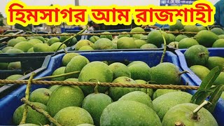 রাজশাহী আমের বাজার ll আজকের আমের দাম