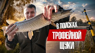 ОСЕННЯЯ РЫБАЛКА НА ЩУКУ НА РЕКАХ ЯМАЛА